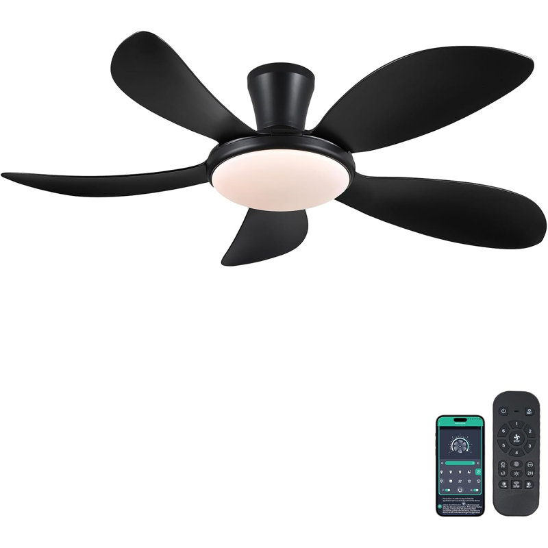 Ventilateur, Noir