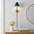 Ronsie 1-Light Dimmable Steel Armed Sconce