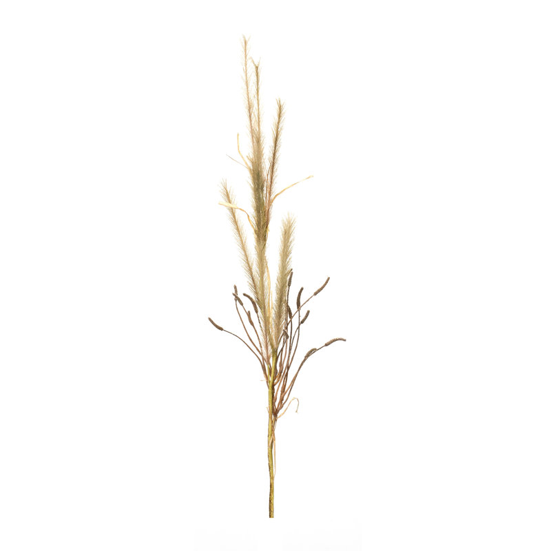 Herbe à sonnette (ensemble de 2)