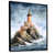 Black Floater Framed