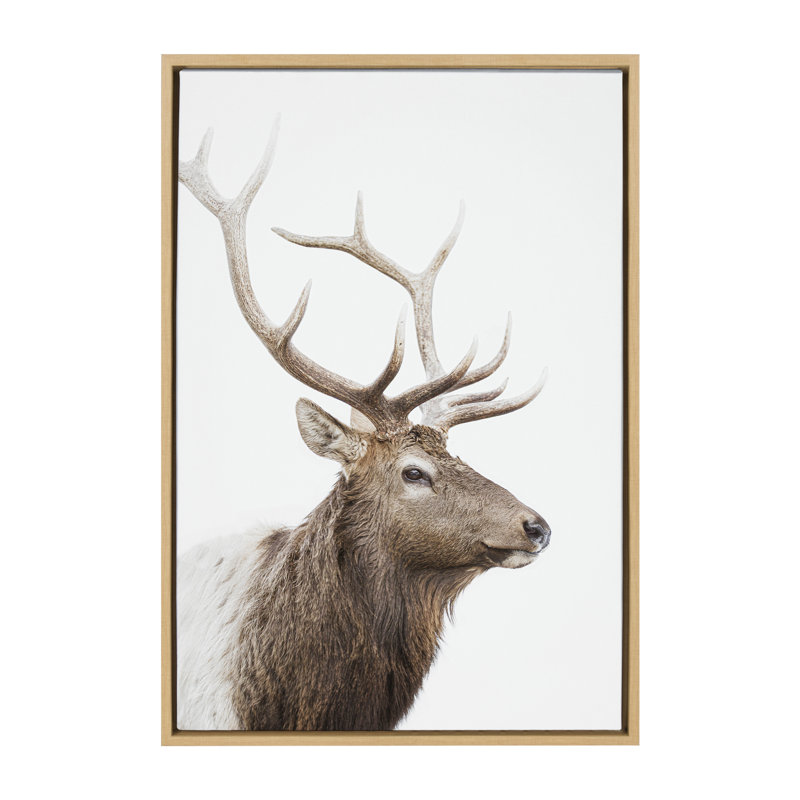 «Stag Profile» par Amy Peterson, reproduction d'art sur toile encadrée, H 23 po x l 33 po, Encadré naturel