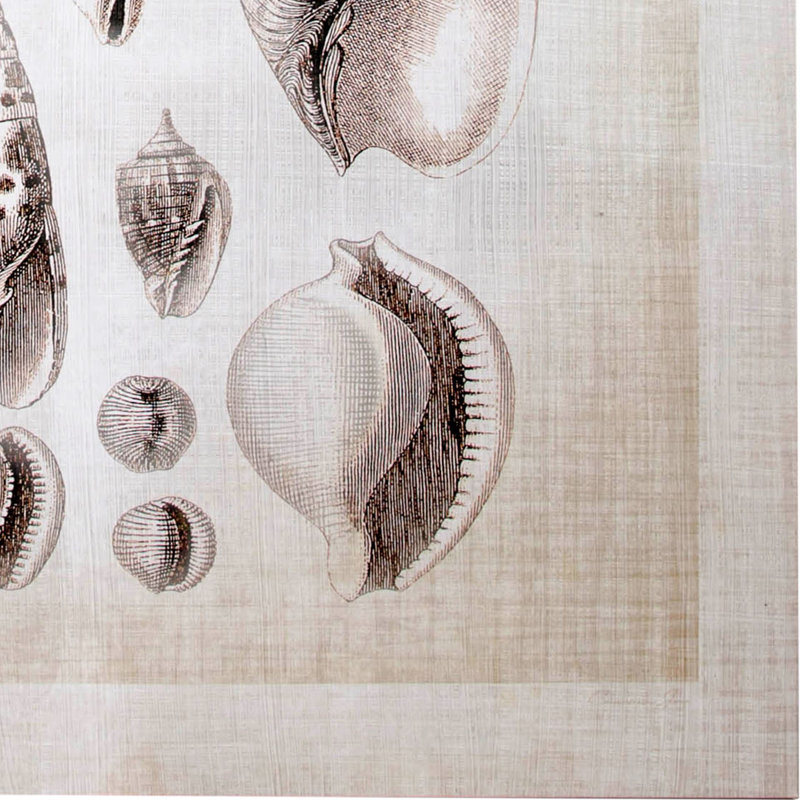 Toile texturée embellie à la main, collection Ocean Shell I par Christopher James a, Ocean Shell Coll I