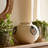Pottery And Ecomix Vase With Handles Boho Style Decorative Modern Accent Vessel For Versatile Display-1353559582