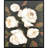 Roses For Mama I Canvas