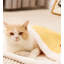 Couvertures pour chiens-99212951