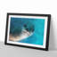 Face of a Seal - Framed Print-62802821-62802825