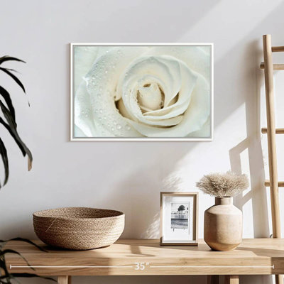 White Rose Close Up