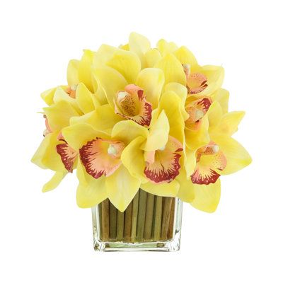 Orchidées disposées dans un vase en verre rempli de bambou