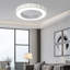 Bujor Ceiling Fan with LED Lights