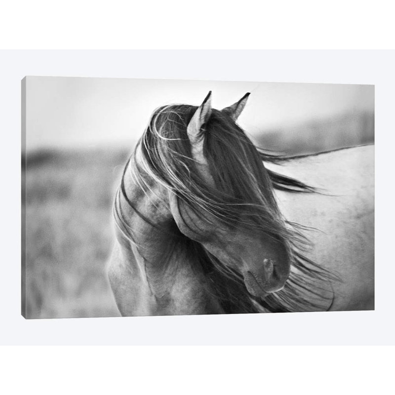 Tony Stromberg - Wrapped Canvas Print, White Floater Framed, 66.04 cm H x 45.72 cm W