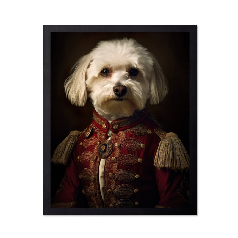 Bichon aristocratique havanais, Unframed, Poster, 16"H x 20"W