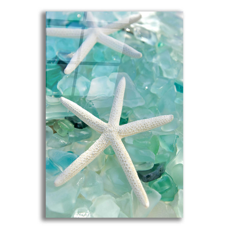 Impression sur verre de mer 1 sur plastique / acrylique par Alan Blaustein, H 24 po x l 16 po x P 0,2 po