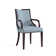 Elianys 18.5'' H Upholstered Beech Armchair
