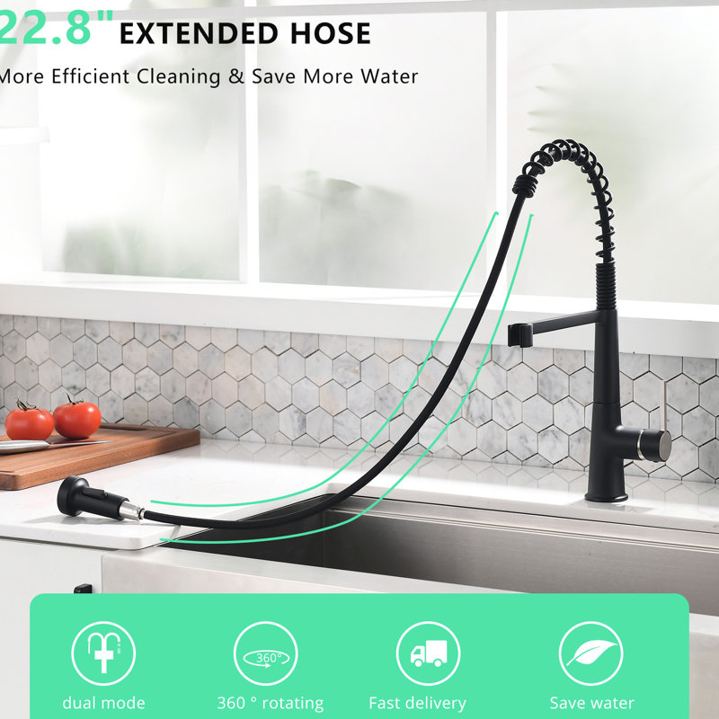 Robinet d'évier de cuisine noir rétractable, poignée simple moderne pour purifier l'évier, conception