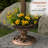 Plastic/Acrylic Pedestal Birdbath