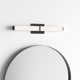 Erby Single Light Glass Dimmable LED Flush Mounted Sconce
