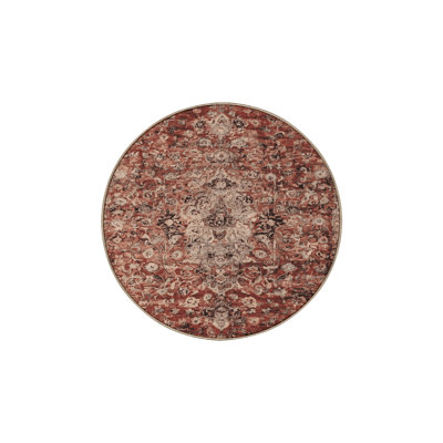 Machine Washable Brown Area Rug