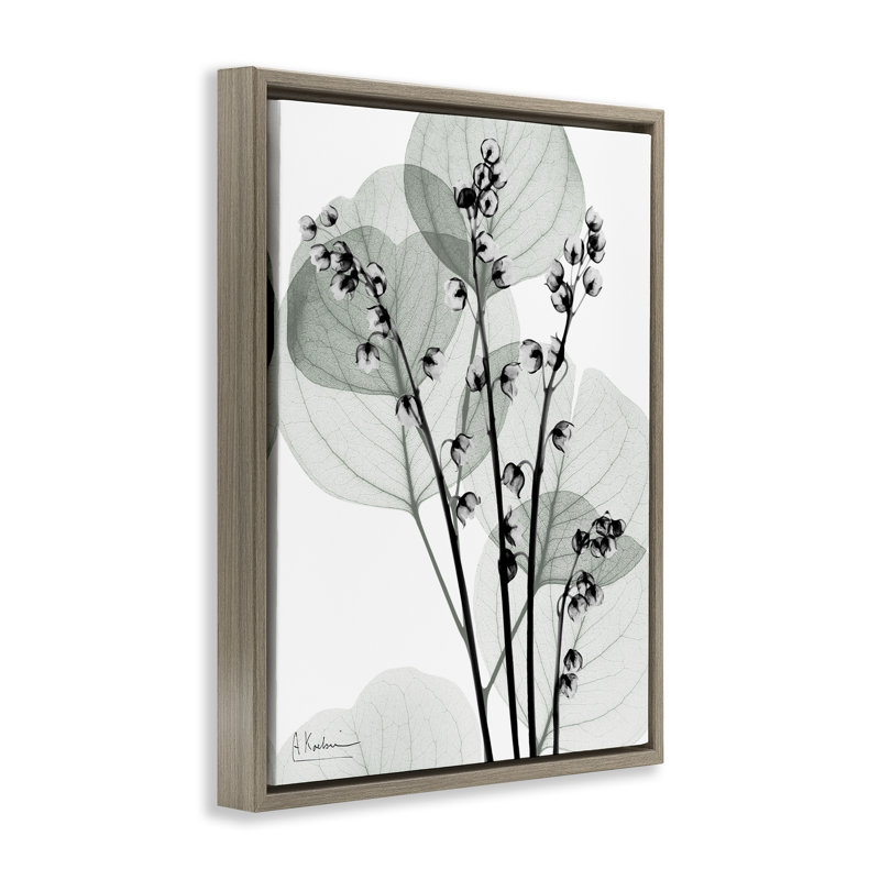 Cadre flottant Fresh Minimalist Herbs, design par Albert Koetsier, H 21 po x l 17 po, Cadre flottant orme Montalcino