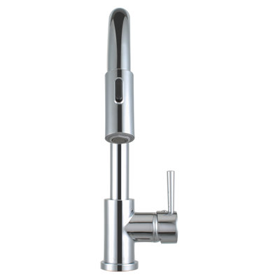 Morgana Pull Down Single Handle Kitchen Faucet