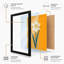 Daffodil Study Botanical - Framed Print-2053140458-2053140462
