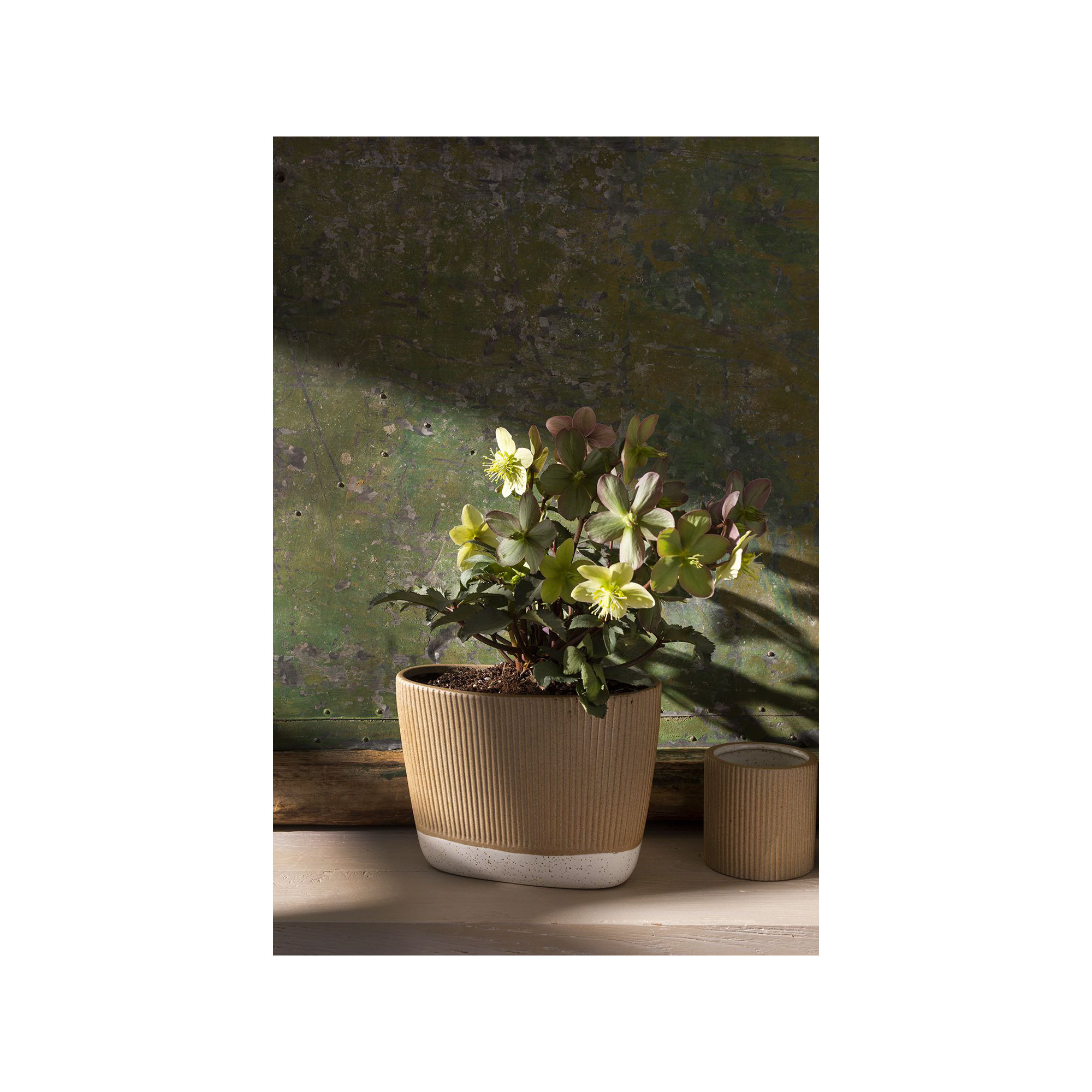Cavana Ceramic Floor Trough