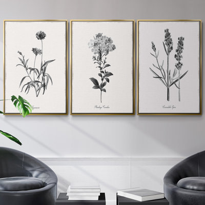Ensemble de 3 pièces encadrées sur toile Simply Imperial
