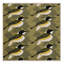  Tapis lavable Great Tit Birds-1651429682