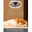 Ventilateur de plafond 19,7 po avec lumières DEL Deza
