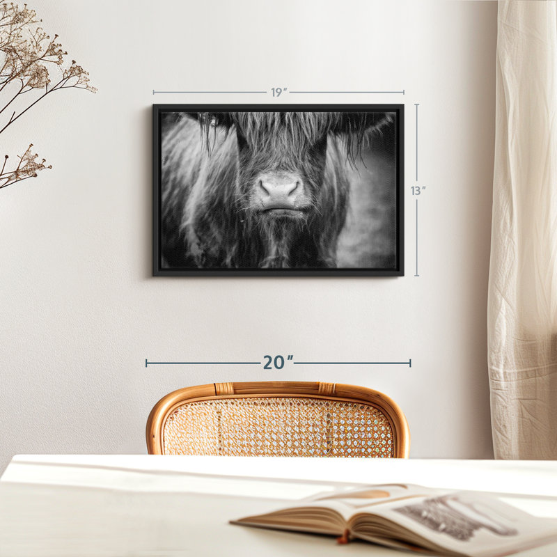 Animal "Vache Highland", H 19 po x l 13 po