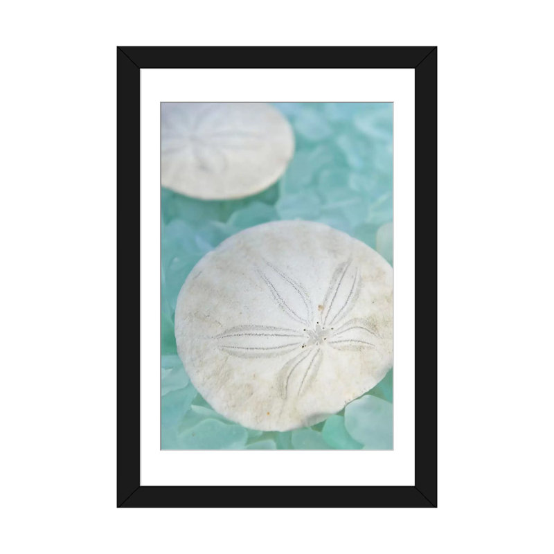 Seaglass 3, reproduction de photo sur toile tendue, H 24 po x l 16 po x P 1 po, Papier beaux-arts encadré noir, Blanc