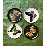 Metamorphosis Coaster