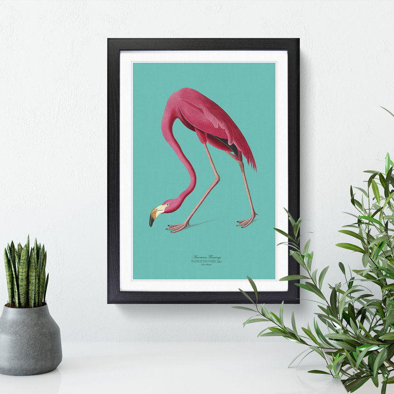 Flamingo in Teal by John James Audubon - Picture Frame Graphic Art on MDF, Black Framed, 90cm H x 65cm W x 2cm D