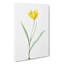 Yellow Tulip Flower by Pierre-Joseph Redoute - Wrapped Canvas-55319826