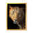 Cadre photo doré