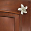2" Plumeria Flower Medium Knob-126755985-104672780-39948783