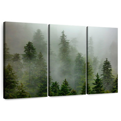 Alvord Foggy Alaska