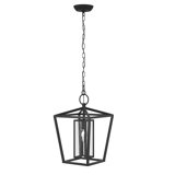 Arnita 1- Light Outdoor Hanging Lantern