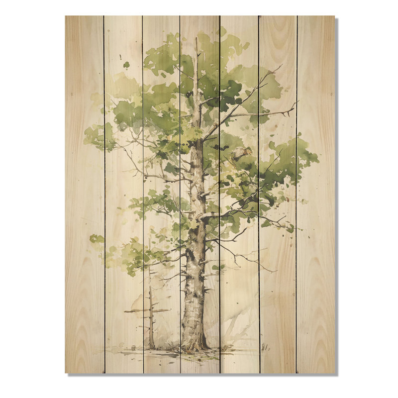 Sycomore vert témoin des âges - Sycomore sur bois, H 32 po x l 24 po