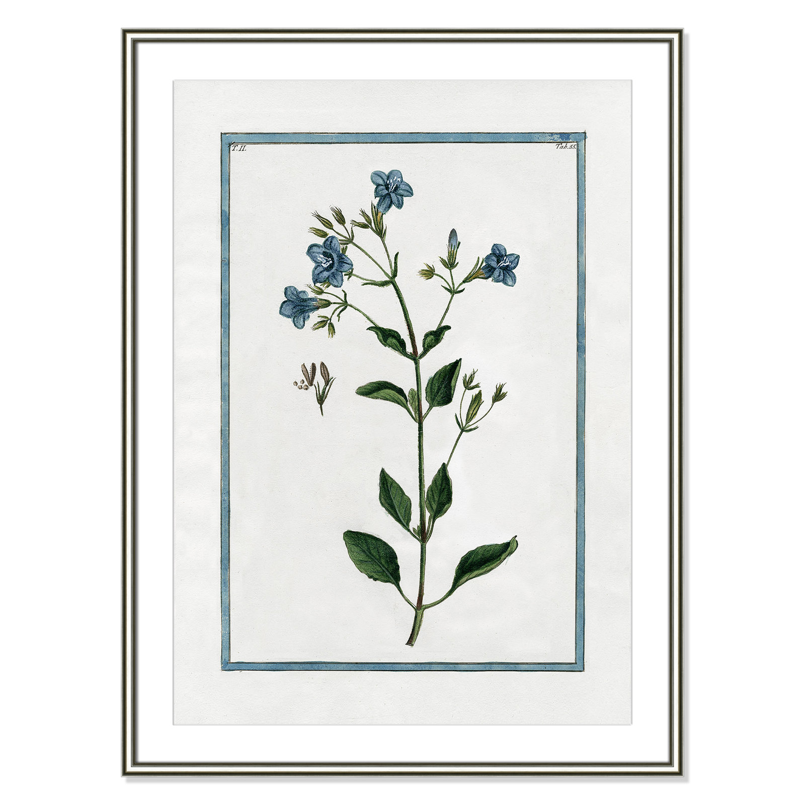 Shabby Elegance Botanical II - Framed Art, 26.75" W x 36.75" H, Silver Framed