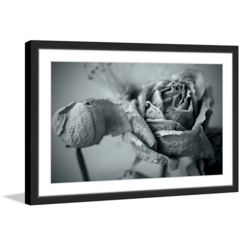 Judy Stalus - Single Picture Frame Print, 61cm H x 91cm W x 3.81cm D