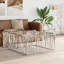 Asimelda Frame Coffee Table-968937681-979271178-979271180