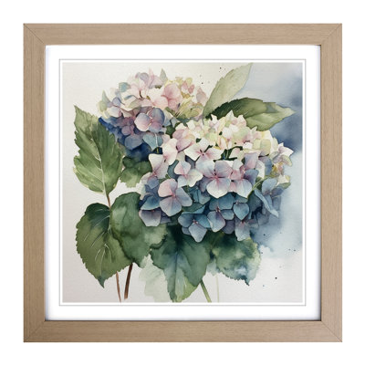 Hydrangea Watercolour No.2 - Framed Print