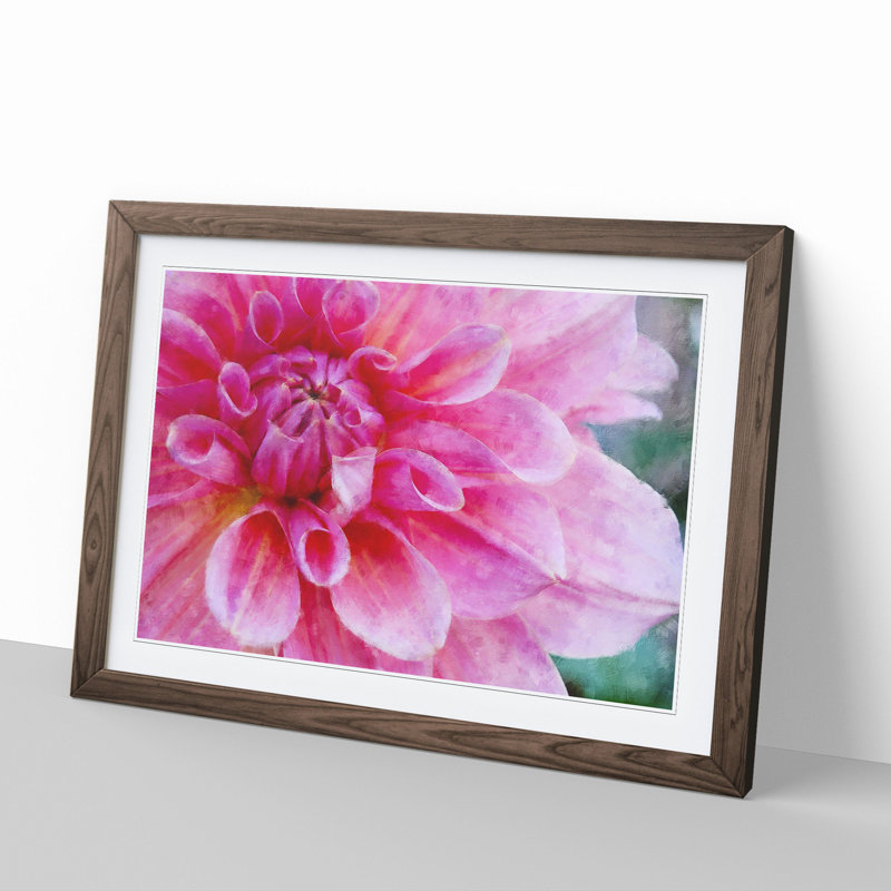 Pink Flower in Blossom - Framed Print, Walnut Framed, 48cm H x 65cm W x 2cm D