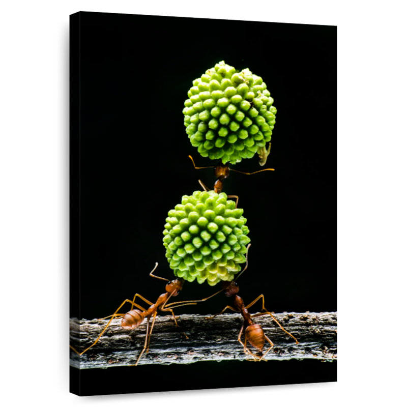 Brampt Teamwork Of Ants, 36" H x 24" W