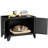 Cat Litter Box Enclosure with doule doors
