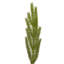 Guirlande 9 'Green Norfolk-1113966729
