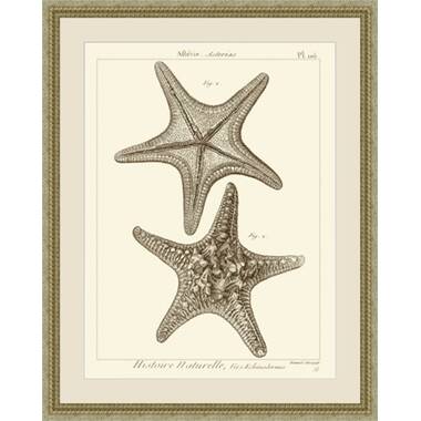 Whitewashed Starfish Pillow