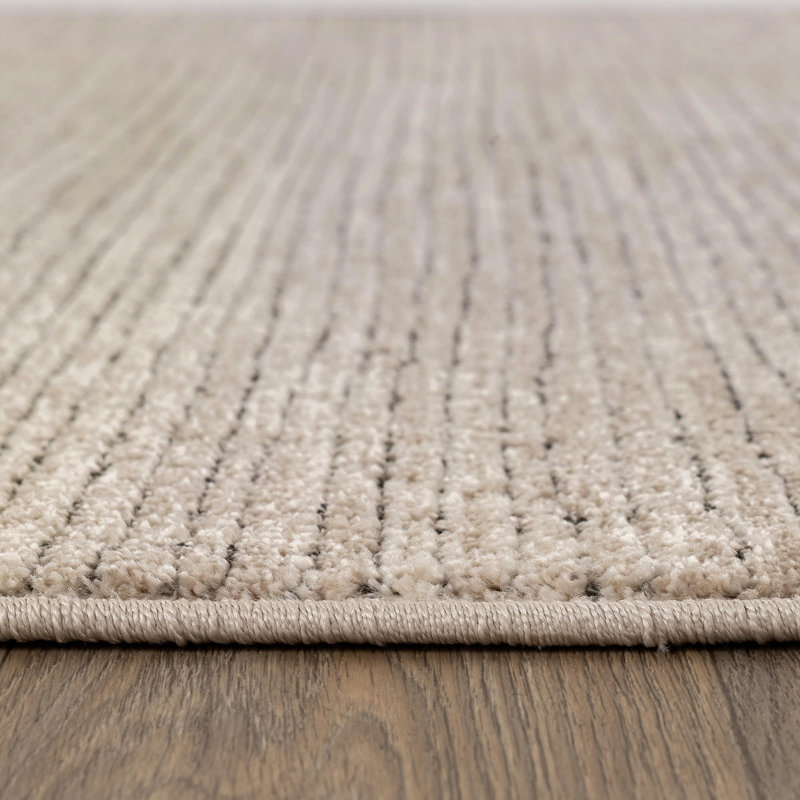 Tapis rayé beige texturé à rayures, Rectangulaire 4 pi x 6 pi