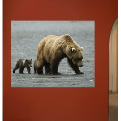 Animals Non-Wall Damaging Wall Decal