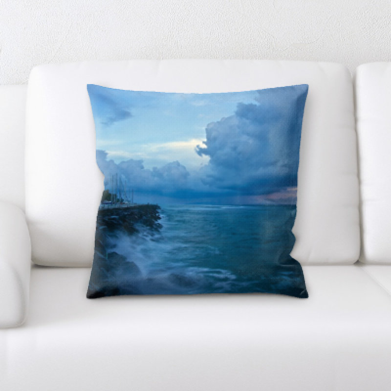 Weinberger Microsuede Throw Pillow